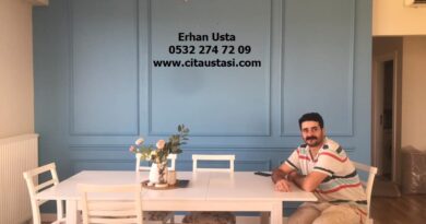 Duvar Çıta firması