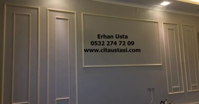 Gaziosmanpaşa çatı ustası