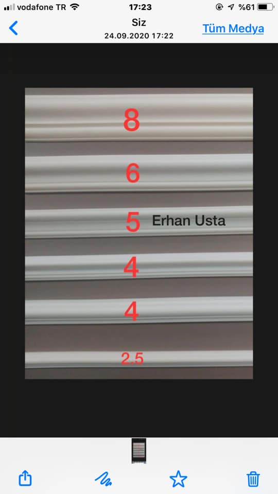 Çıta Ustası