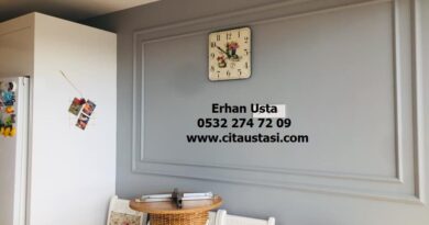 Çıta Çalışması Fiyat Bilgisi