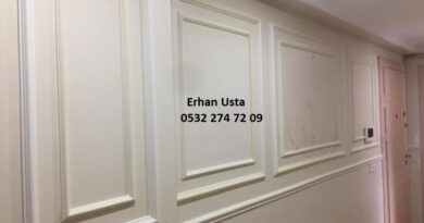 Baltalimanı Çıta Ustası